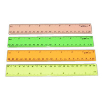 2027 Neon Colour 20cm/8 Ruler